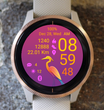 Garmin Watch Face - Bird 13