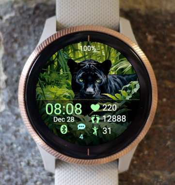 Garmin Watch Face - The Black Panther