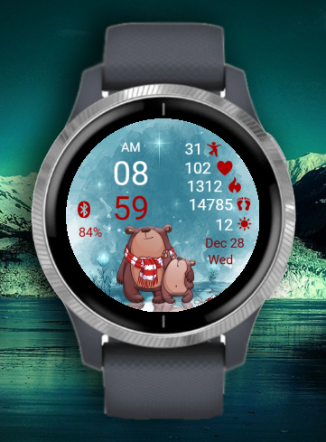 Winter Bears