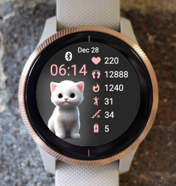 Garmin Watch Face - Cute Animal Cat