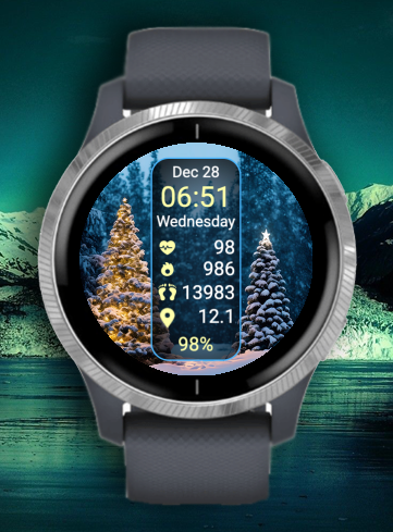 Christmas In the Nature