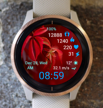 Garmin Watch Face - Autumn Red Leaves