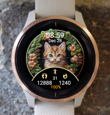 Garmin Watch Face - Little Cat