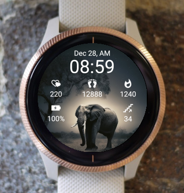 Garmin Watch Face - Elephant 001