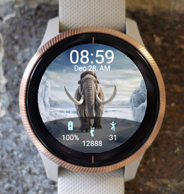 Garmin Watch Face - Ice Age 001