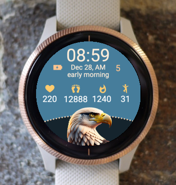 Garmin Watch Face - Eagle