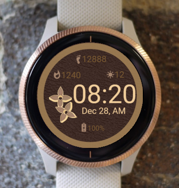 Garmin Watch Face - LV Charmed