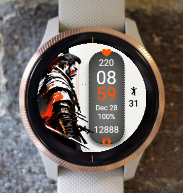 Garmin Watch Face - ECH Warrior D1