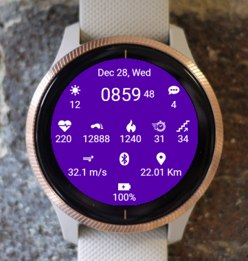 Garmin Watch Face - Simple10