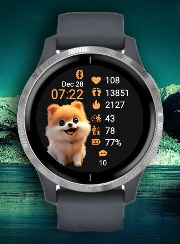 Cute Animal Corgi
