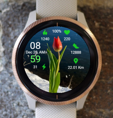 Garmin Watch Face - Snow And Tulips