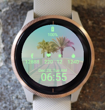 Garmin Watch Face - Royale Palm Pastel Garmin Sport 