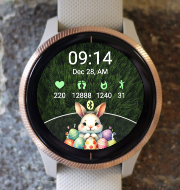 Garmin Venu 3 Watch Face - Easter Garmin R01