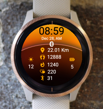 Garmin Watch Face - Grady 6E