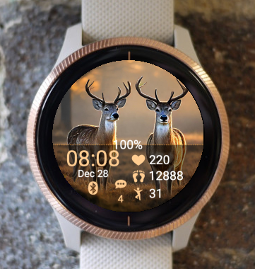 Garmin Watch Face - Wildlife W05