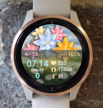 Garmin Watch Face - Spring Nature SN01