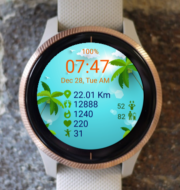 Garmin Watch Face - Summer 02