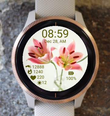 Garmin Watch Face - Lily In A Pair