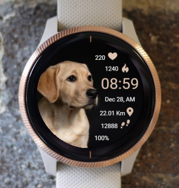 Garmin Watch Face - Ga Watching