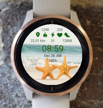 Garmin Watch Face - Starfish In Pairs 