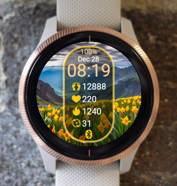 Garmin Venu 3 Watch Face - Spring Mountains 08