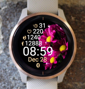 Garmin Watch Face - Flower 24