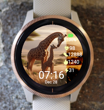 Garmin Watch Face - Giraffe