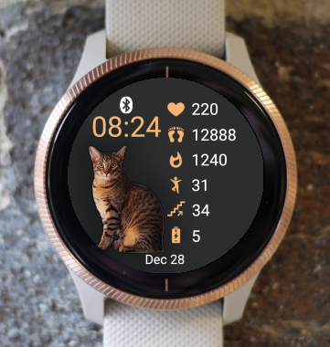 Garmin Venu 3 Watch Face - Ákos