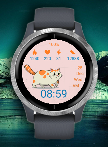 Cat 02