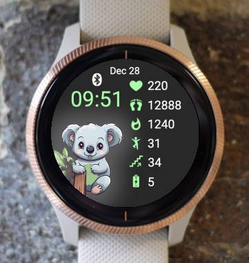 Garmin Watch Face - Cute Animal Koala