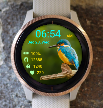 Garmin Watch Face - Bird 14