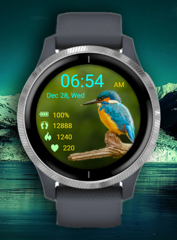 Bird 14