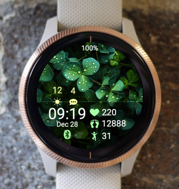 Garmin Watch Face - Spring Leaves