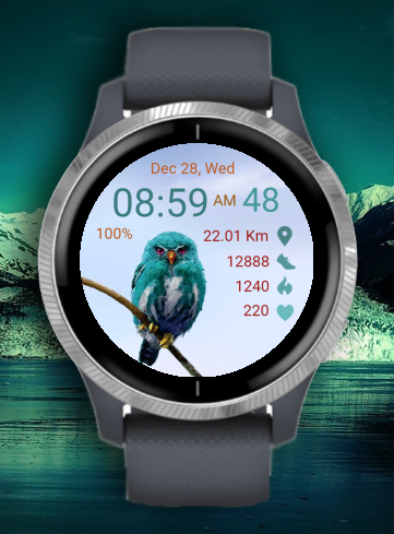 Blue Owl
