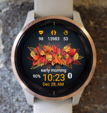 Garmin Watch Face - Autumn