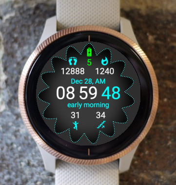 Garmin Watch Face - Sport Day