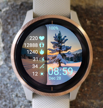 Garmin Watch Face - Winter Nature S5