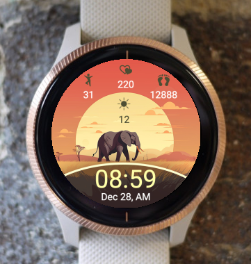 Garmin Watch Face - Elephant 008