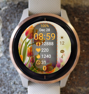 Garmin Watch Face - Spring S02