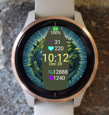 Garmin Watch Face - Ellipse