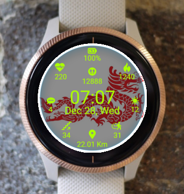 Garmin Watch Face - Dragon06