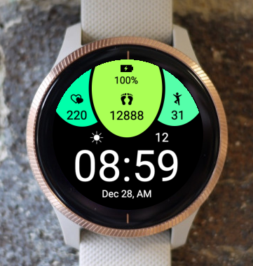 Garmin Watch Face - Elastic