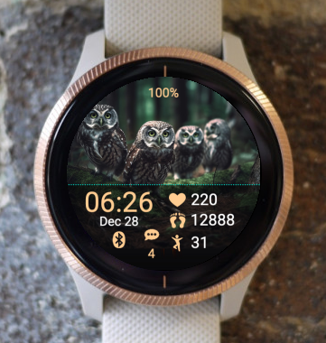 Garmin Watch Face - Wildlife W02