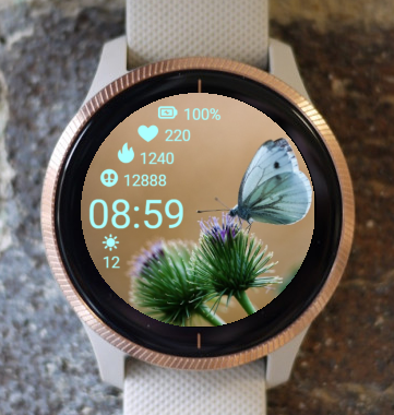 Garmin Watch Face - On Wildflowers