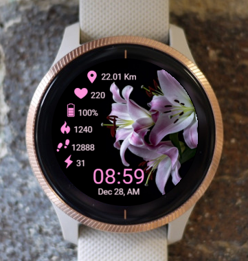 Garmin Watch Face - Ga Lily