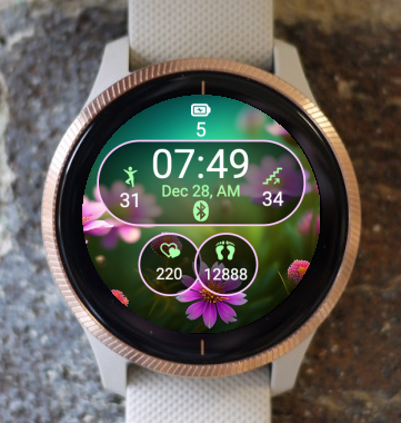 Garmin Watch Face - Sport in Nature SN11