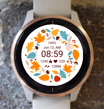 Garmin Watch Face - Autumn Magic 25