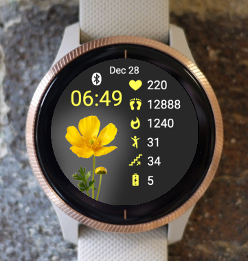 Garmin Watch Face - Yellow Mood