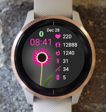 Garmin Watch Face - Toujours