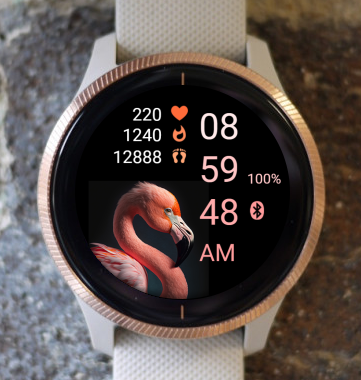 Garmin Watch Face - Bird - Flamingo